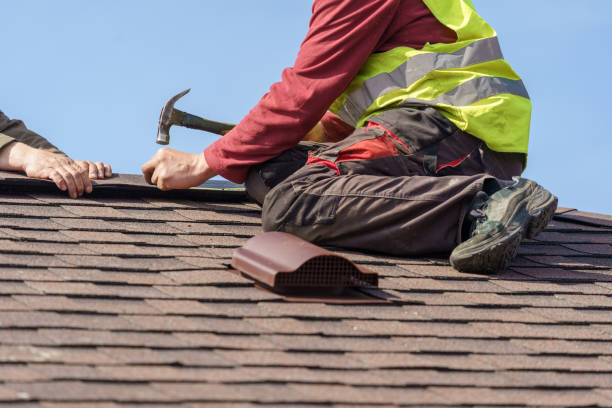 Roof Gutter Cleaning in Williamston, NC