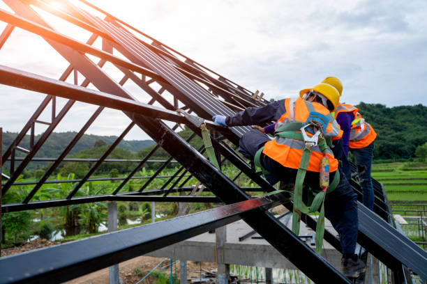Best Roof Gutter Cleaning  in Williamston, NC