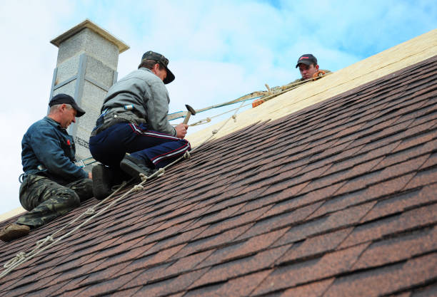 Best Local Roofing Companies  in Williamston, NC