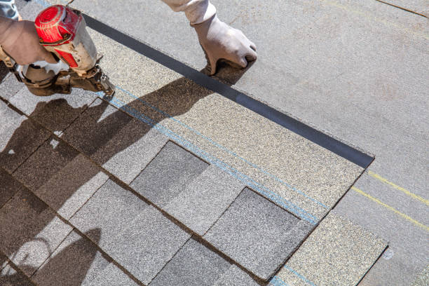 Professional Roofing Contractor in Williamston, NC