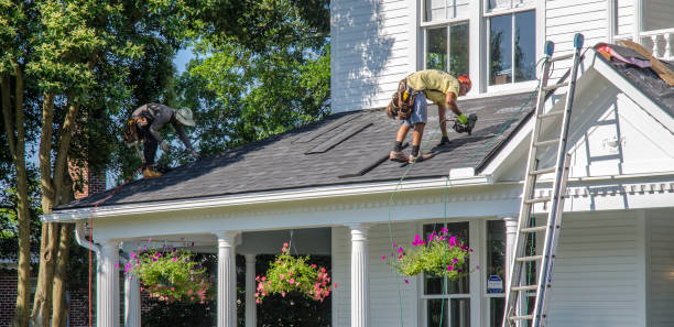 Roof Gutter Cleaning in Williamston, NC