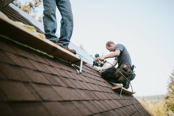 Roof Repair Estimates in Williamston, NC